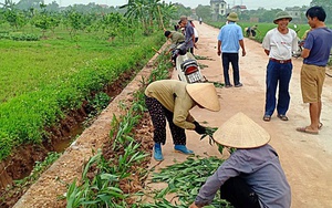 Nông dân huyện Chương Mỹ (Hà Nội) tham gia nhiều hoạt động kỷ niệm 47 năm ngày Giải phóng miền Nam