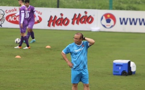 "Nếu không có HLV Park, Việt Nam vẫn đủ sức vào vòng loại cuối World Cup"