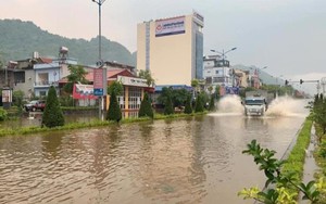 Mưa lớn gây ngập úng, đổ cây tại Lai Châu