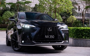 Giá lăn bánh Lexus NX 2022 vừa ra mắt Việt Nam, màn &quot;lột xác&quot; toàn diện