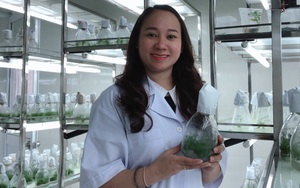 Quảng Nam: Nữ cán bộ trẻ mê nghiên cứu khoa học giúp nông dân 