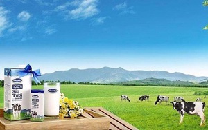 Vinamilk (VNM) lên kế hoạch lợi nhuận 2022 đi lùi, cổ tức 3.850 đồng/cổ phiếu