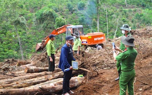 Vụ phá 1,9 ha rừng để chiếm đất ở Bảo Lâm: Bắt nghi phạm chủ mưu