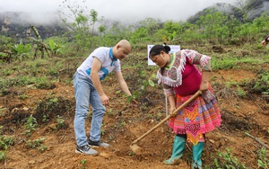 Báo NTNN tặng 10.000 cây giống tại xã vùng biên Hà Giang: Gieo những mầm xanh - trao hy vọng thoát nghèo