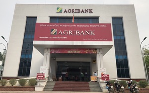 Agribank Bắc Yên Bái: Đồng hành cùng nông dân phát triển nông nghiệp, nông thôn