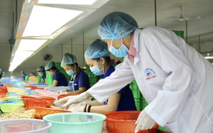 Bất ngờ: Việt Nam là nhà cung cấp số 1 loại hạt béo, bùi này cho Mỹ