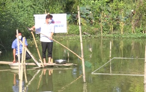 Nuôi cá đặc sản ví như nhân sâm nước thành công, mô hình làm giàu mới cho nông dân xã này ở An Giang