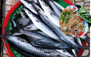 Ở Phú Quốc có đặc sản cá miệng nhọn hoắt, mình dài như mũi tên nhưng ngon và bổ, không nơi nào sánh bằng