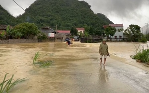 Clip: Mưa lớn ở Lạng Sơn gây sạt lở đất, cây trồng ngập úng, nhiều nơi bị chia cắt