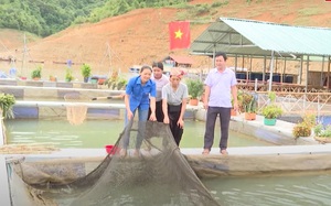 Lai Châu: Phát triển nuôi trồng thủy sản theo hướng bền vững