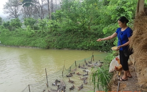 Xây dựng Nông thôn mới ở Tủa Chùa: Công tác tuyên truyền là yếu tố quyết định sự thành công