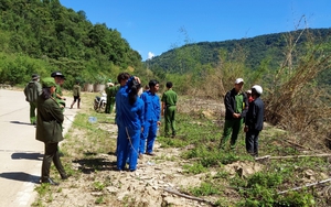 Lâm Đồng: Bắt nghi phạm chủ mưu phá rừng đi ô tô biển số nước ngoài mang theo súng, đạn
