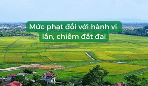 Mức phạt đối với hành vi lấn, chiếm đất đai năm 2022