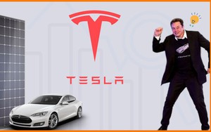 Elon Musk tiết lộ bài học để đời cho các công ty khởi nghiệp ô tô điện 