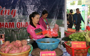 Hoà Bình: Tổ chức phiên chợ vùng cao quảng bá hàng nông sản và giá trị văn hóa truyền thống 