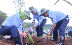 Gia Lai: Ra quân trồng 1.000 cây xanh ứng phó với biến đổi khí hậu