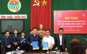 Thừa Thiên Huế triển khai thỏa thuận hợp tác giữa Hội Nông dân Việt Nam và Bảo hiểm PVI 
