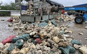 TT-Huế: Bắt quả tang doanh nghiệp đổ chất thải trái quy định gây ô nhiễm môi trường 