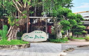 Vụ quán cà phê Cánh Buồm: Chủ tịch tỉnh Kiên Giang yêu cầu thu hồi để làm công viên
