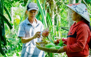 Được làm giám đốc, được trao vốn tiền tỷ, nông dân xứ Quảng phất lên như &quot;diều gặp gió&quot;