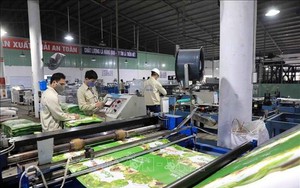 Thuận Đức (TDP) chi 50 tỷ mua lại 400m2 sàn thương mại của vợ chồng chủ tịch