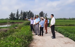 Hội Nông dân Hải Phòng: Giám sát thực hiện chính sách  tích tụ, tập trung đất đai phát triển sản xuất nông nghiệp