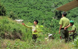 Lợi dụng trồng cây, xây nhà cạnh cao tốc Tân Phú-Liên Khương: Sẽ không bồi thường