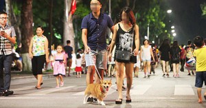 Dắt chó vào phố đi bộ Hồ Gươm, bị xử phạt bao nhiêu tiền?
