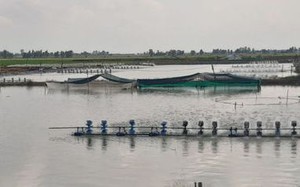 Đất thuê trả tiền hàng năm không được bồi thường khi thu hồi