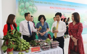Hội nghị kết nối tiêu thụ, xuất khẩu xoài và nông sản tỉnh Sơn La năm 2022 có 15 điểm cầu quốc tế tham gia