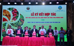 Bộ NNPTNT cam kết hỗ trợ doanh nghiệp Tây Nguyên xây dựng chuỗi liên kết từ sản xuất đến tiêu thụ nông sản