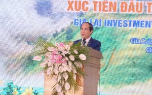 Chủ tịch UBND tỉnh Gia Lai: Mở "cánh cửa" mới chào đón nhà đầu tư