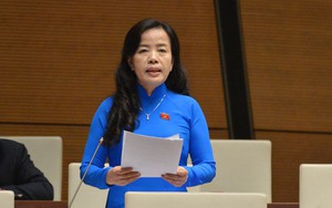 Đại biểu Quốc hội: Liệu có những vụ Việt Á trong lựa chọn sách giáo khoa không?