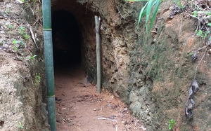 Kon Tum: Không phát hiện tình trạng khai thác vàng tại vườn quốc gia như cử tri phản ánh