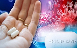 Thêm thuốc Molnupiravir điều trị Covid-19 sản xuất trong nước được cấp phép