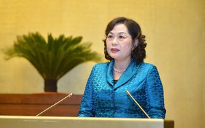 Xử lý nợ xấu: Thống đốc Nguyễn Thị Hồng tiết lộ những "nỗi khổ" của ngân hàng