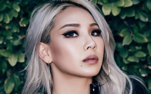 Khán giả Việt "vỡ òa" khi 2NE1 thông báo tổ chức concert tại Việt Nam - Ảnh 2.