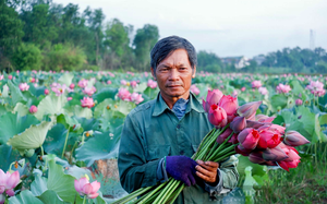 Nghị quyết “tam nông” và vị thế người nông dân