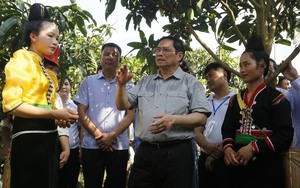 Hình ảnh Thủ tướng Phạm Minh Chính thăm mô hình sản xuất nông nghiệp tiêu biểu tại Sơn La