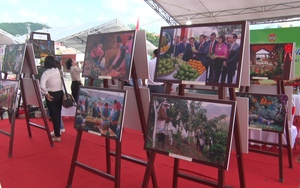 Hàng trăm tác phẩm “trình làng” tại triển lãm “Ảnh đẹp về trái cây” ở Sơn La