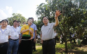Thủ tướng Phạm Minh Chính: Sơn La thực hiện đồng bộ 5 giải pháp để đưa nông sản cất cánh