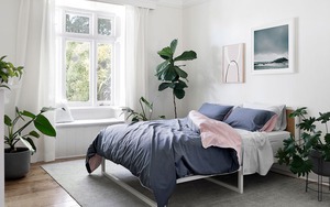 3 lợi ích khi để cây cảnh trong phòng ngủ, tác dụng thứ 2 chưa chắc bạn đã biết