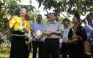Tổ chức Hội và hội viên nông dân Việt Nam góp phần vào xây dựng công nghiệp hóa, hiện đại hóa đất nước