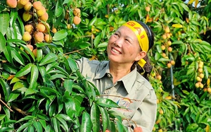 Mỹ, Trung Quốc, Nhật Bản gom lượng lớn, 9 loại nông sản của Việt Nam tăng ngay giá xuất khẩu
