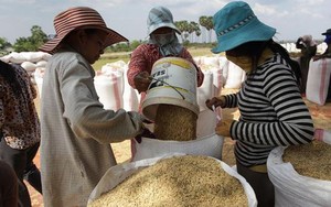 Là cường quốc xuất khẩu nông sản, Việt Nam vẫn chi 1,6 tỷ USD mua nông sản từ Campuchia