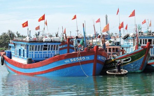 Trung Quốc đơn phương cấm đánh bắt cá trên biển Đông, Hội Nghề cá Việt Nam phản đối kịch liệt