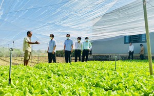 Đồng Nai: Trao 1 tỷ đồng vốn Quỹ HTND cho nông dân xây dựng nhà lưới trồng rau sạch