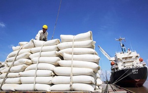 Gia tăng xuất khẩu gạo sang thị trường ASEAN