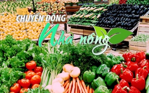 Chuyển động Nhà nông 8/5: Tăng cường kiểm dịch thực vật xuất, nhập khẩu