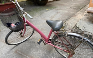 Bí ẩn chết người trong... giỏ xe đạp màu hồng